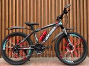 Velosiped "Strim 24"