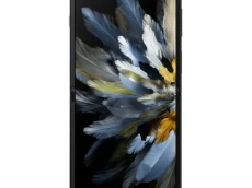 OPPO Find N3 Flip 12/256 GB Black