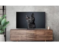 Televizor Samsung OLED QE55S90CAUXRU