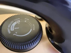 Ütü RAF R.1215 Gold