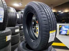 Dunlop ST 30 225/65 R17 - Yay təkəri