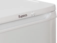 Soyuducu Biryusa 108